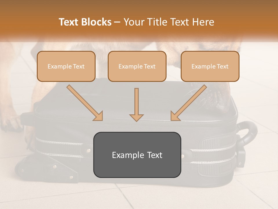 Airport Explosive Sar PowerPoint Template