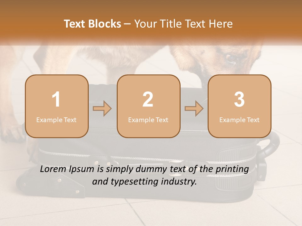 Airport Explosive Sar PowerPoint Template