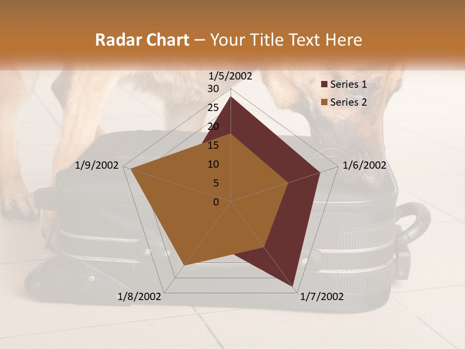 Airport Explosive Sar PowerPoint Template