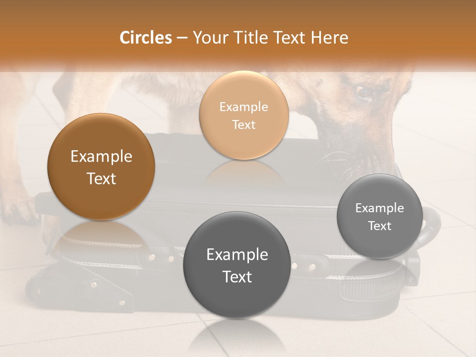 Airport Explosive Sar PowerPoint Template