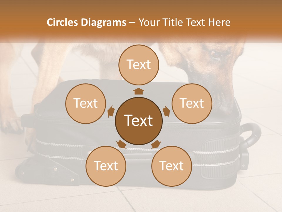 Airport Explosive Sar PowerPoint Template