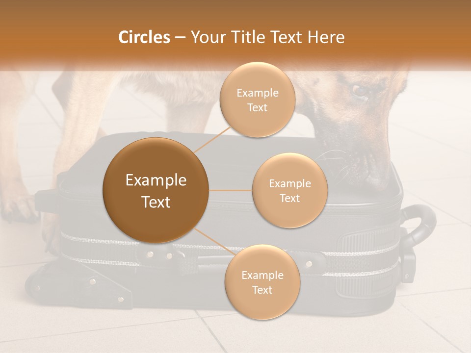 Airport Explosive Sar PowerPoint Template