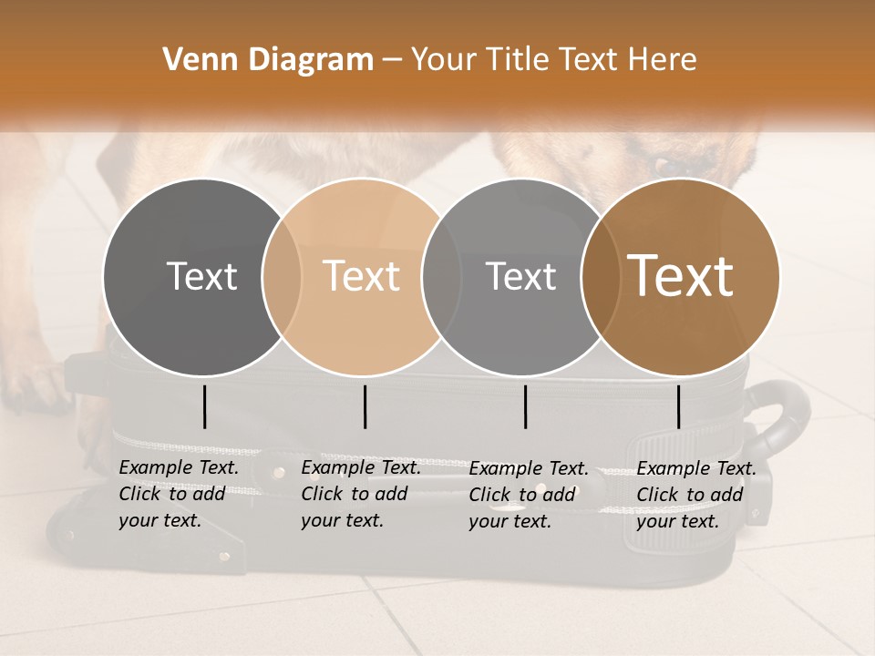 Airport Explosive Sar PowerPoint Template