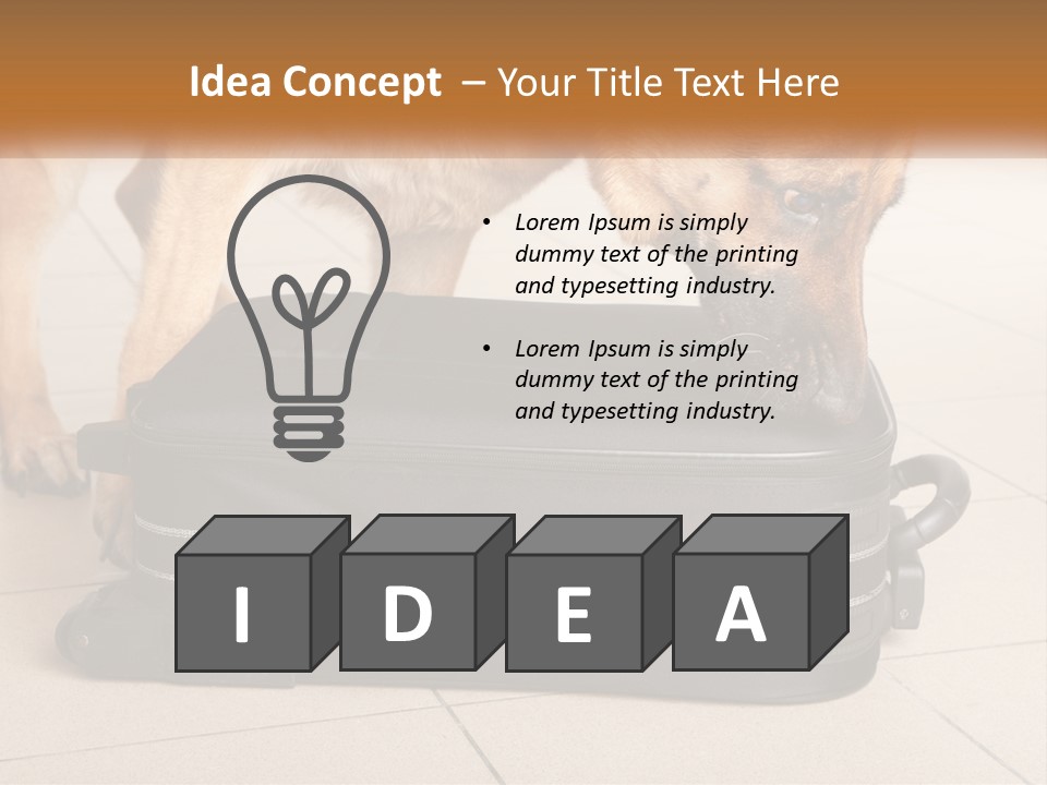 Airport Explosive Sar PowerPoint Template