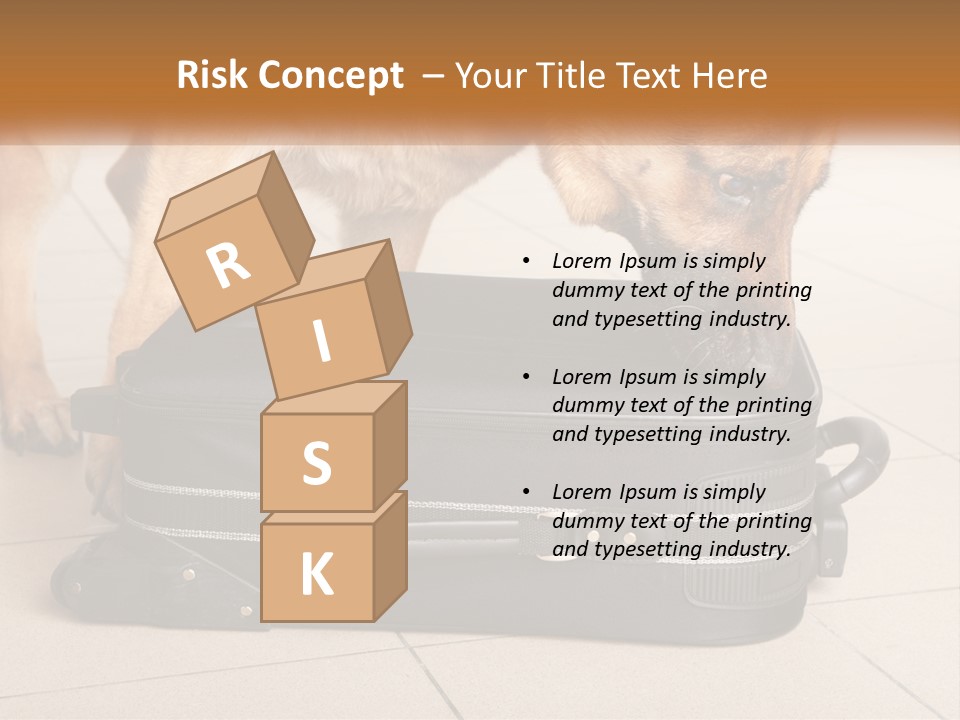 Airport Explosive Sar PowerPoint Template