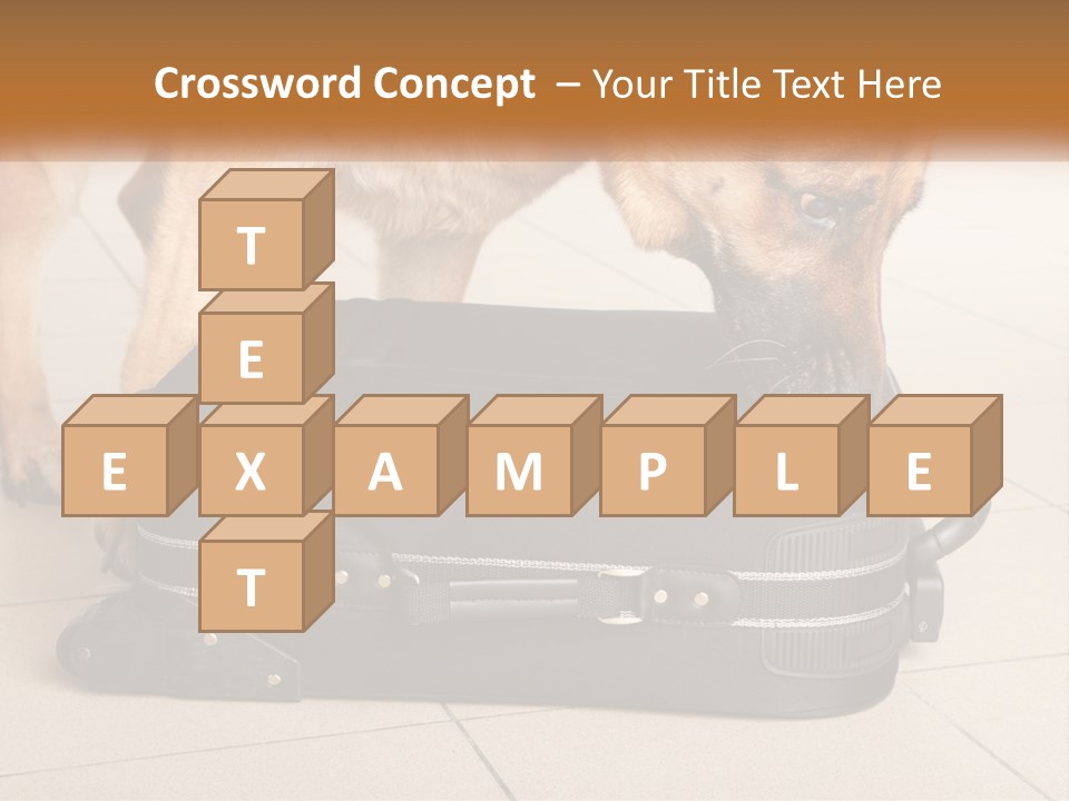 Airport Explosive Sar PowerPoint Template