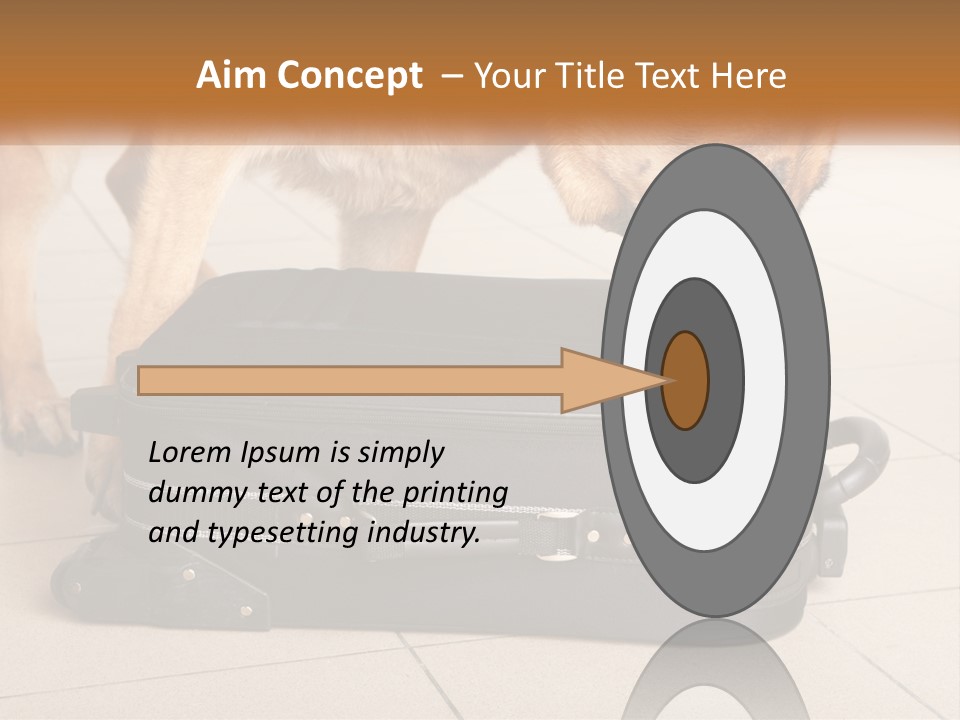 Airport Explosive Sar PowerPoint Template