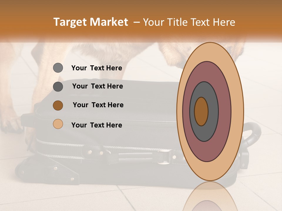Airport Explosive Sar PowerPoint Template