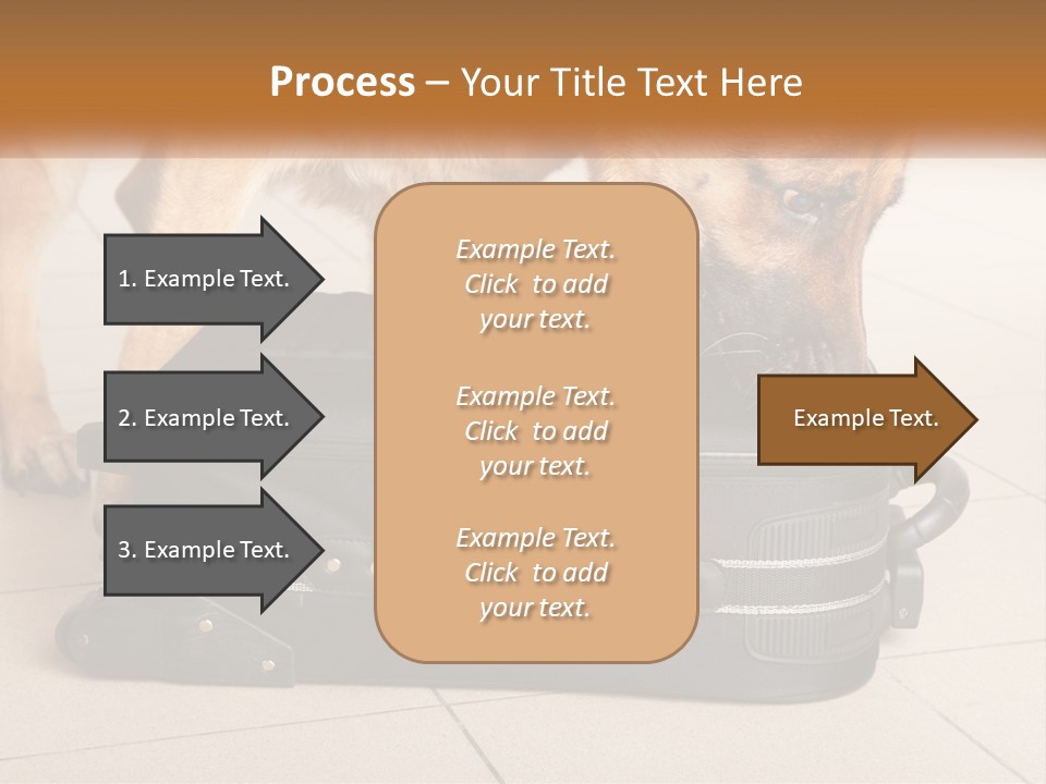 Airport Explosive Sar PowerPoint Template
