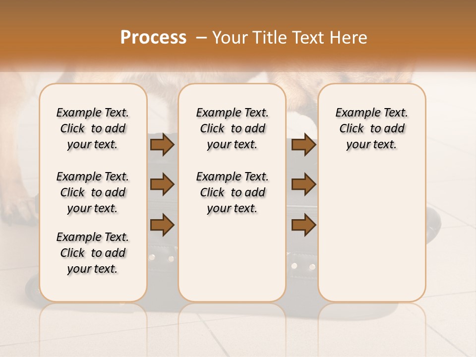 Airport Explosive Sar PowerPoint Template