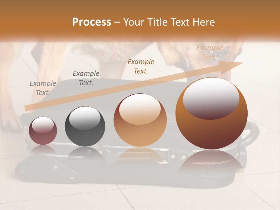 Airport Explosive Sar PowerPoint Template