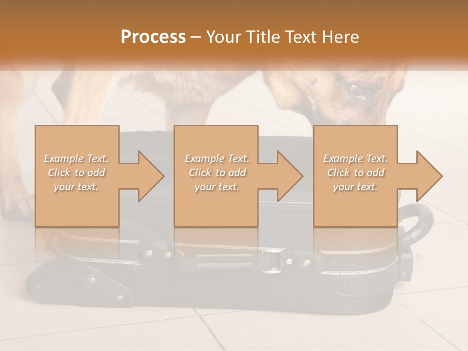 Airport Explosive Sar PowerPoint Template