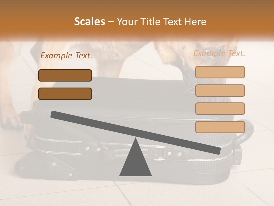 Airport Explosive Sar PowerPoint Template