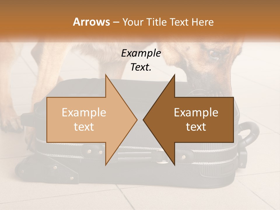 Airport Explosive Sar PowerPoint Template