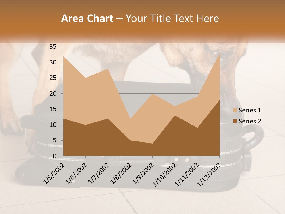 Airport Explosive Sar PowerPoint Template