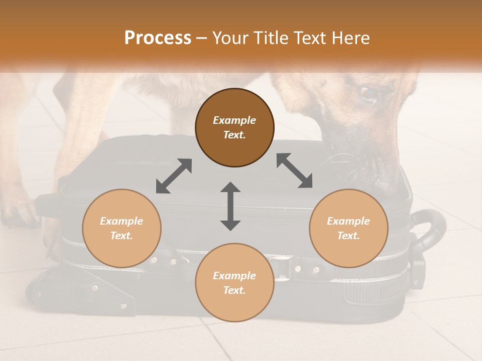 Airport Explosive Sar PowerPoint Template