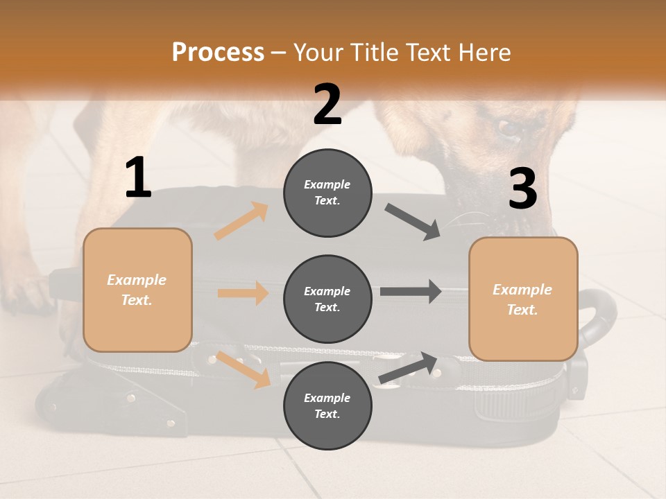 Airport Explosive Sar PowerPoint Template