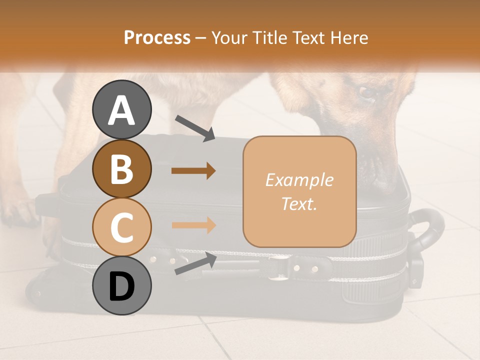 Airport Explosive Sar PowerPoint Template