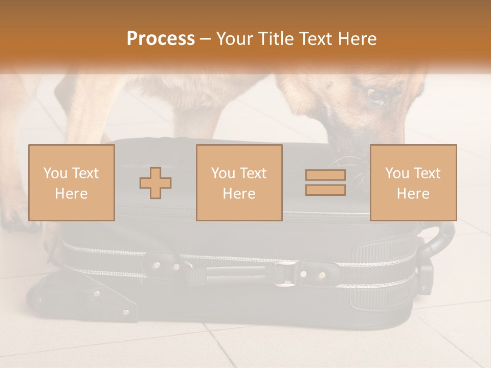 Airport Explosive Sar PowerPoint Template