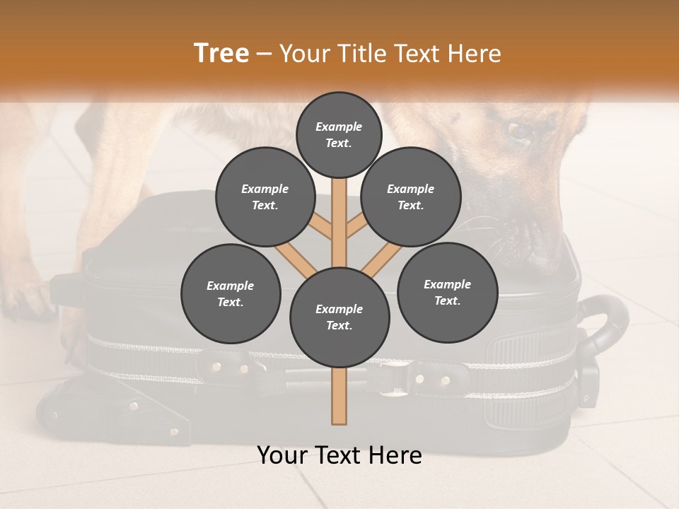Airport Explosive Sar PowerPoint Template