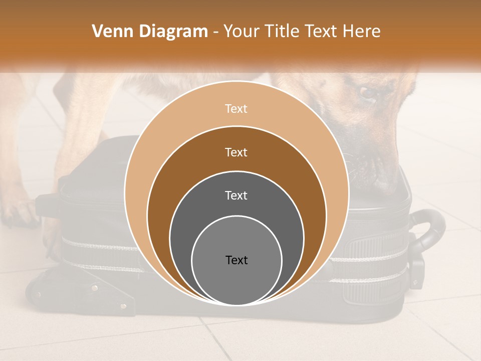 Airport Explosive Sar PowerPoint Template