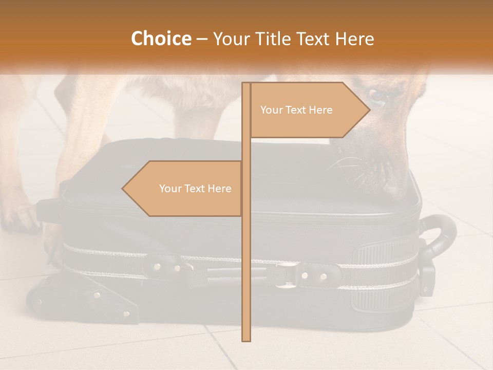 Airport Explosive Sar PowerPoint Template