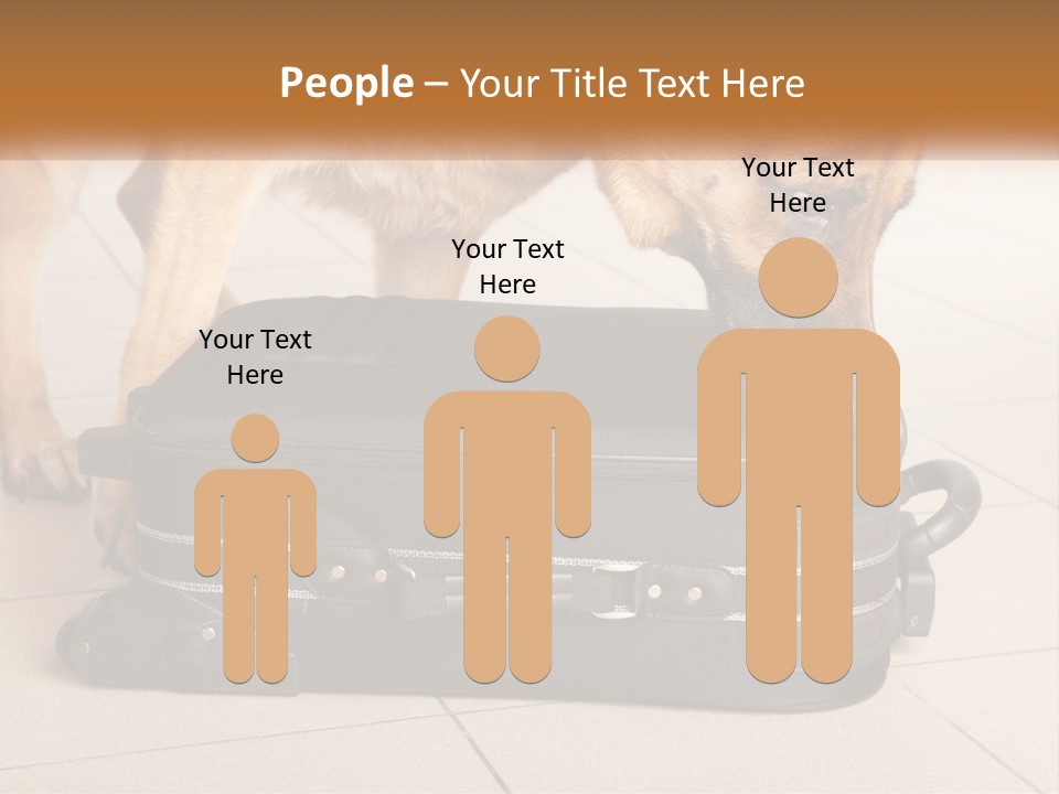 Airport Explosive Sar PowerPoint Template