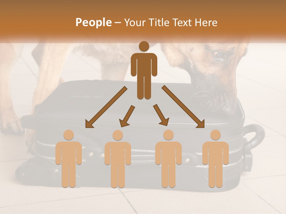 Airport Explosive Sar PowerPoint Template