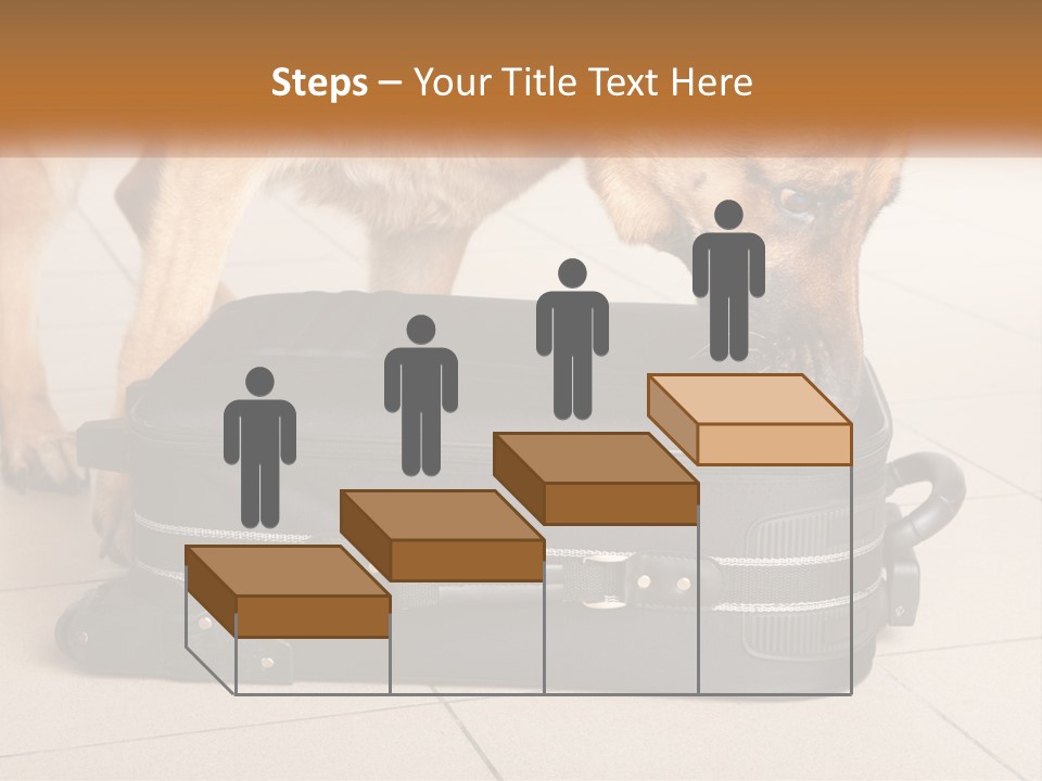 Airport Explosive Sar PowerPoint Template