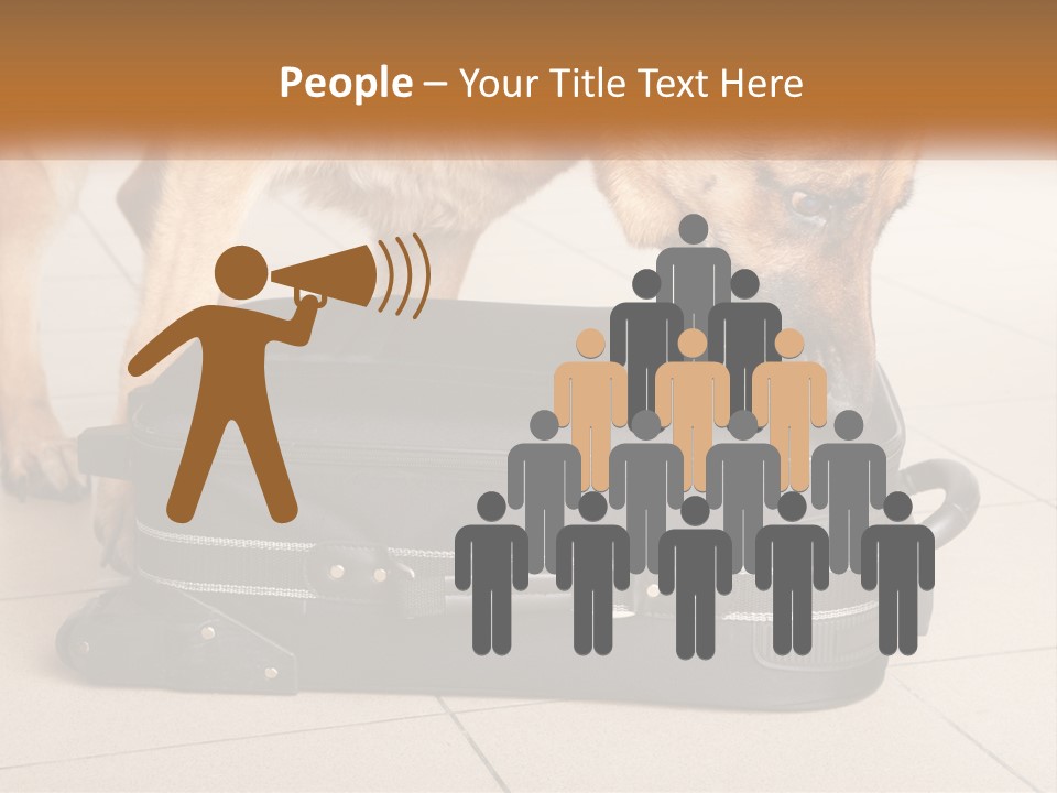 Airport Explosive Sar PowerPoint Template