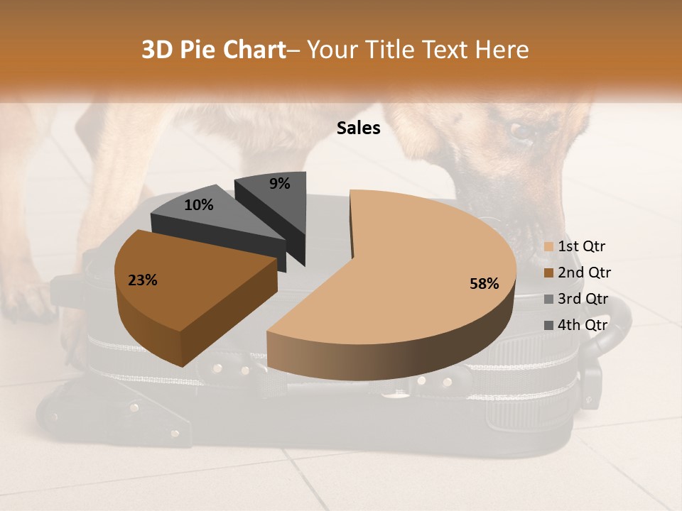 Airport Explosive Sar PowerPoint Template