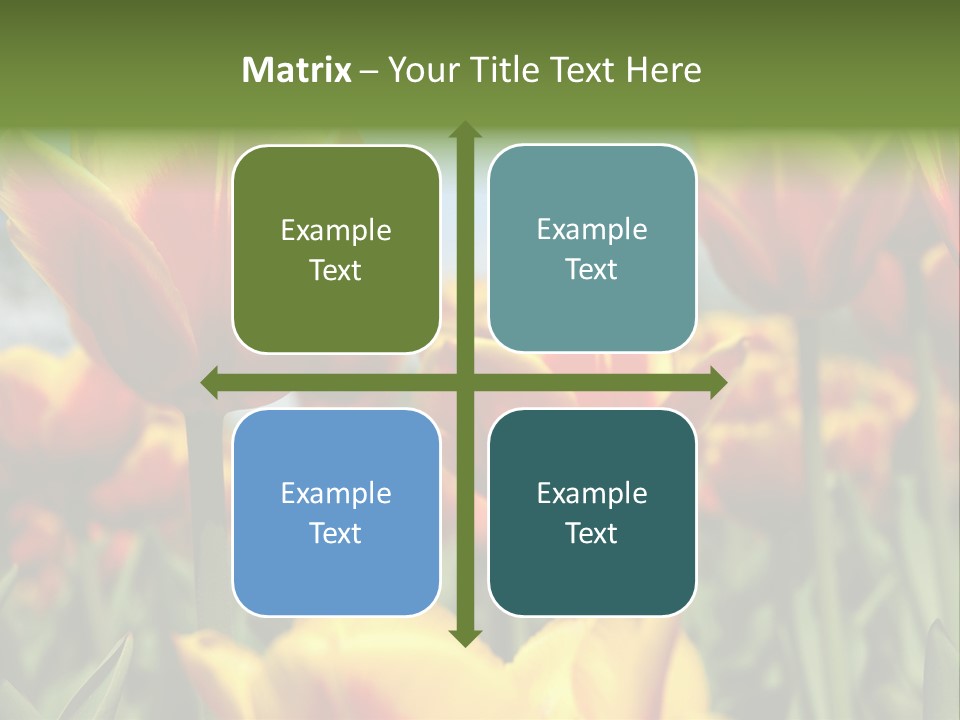 Rays Day Postcard PowerPoint Template