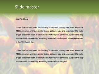 Rays Day Postcard PowerPoint Template