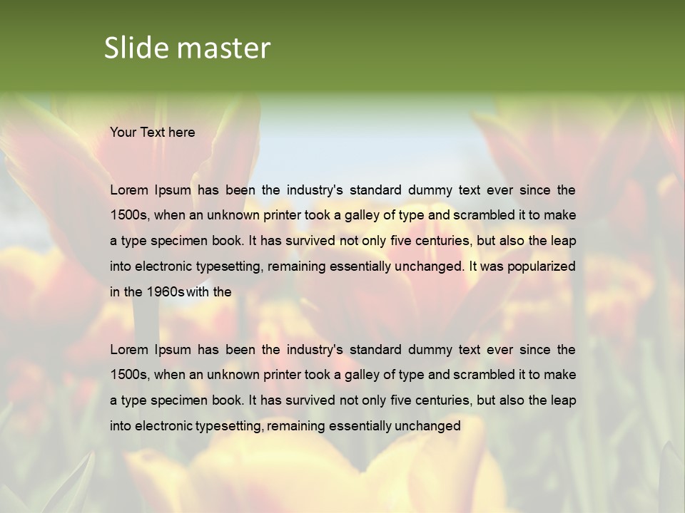 Rays Day Postcard PowerPoint Template