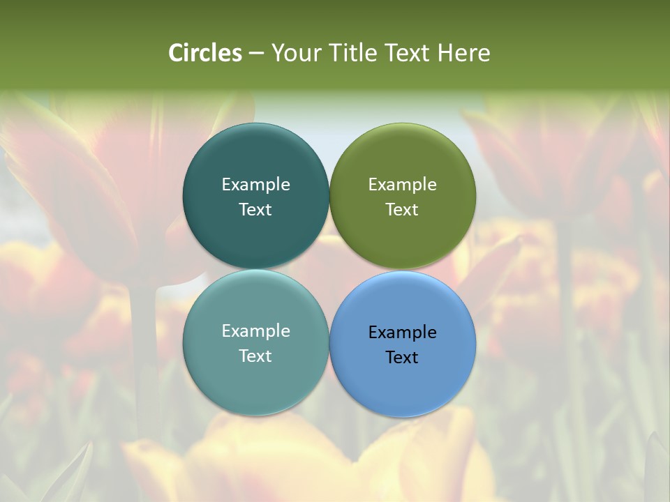 Rays Day Postcard PowerPoint Template