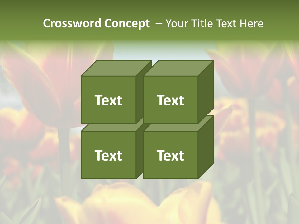 Rays Day Postcard PowerPoint Template