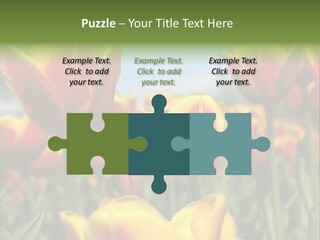 Rays Day Postcard PowerPoint Template