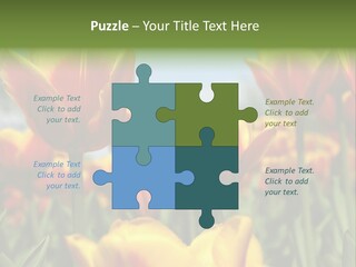 Rays Day Postcard PowerPoint Template