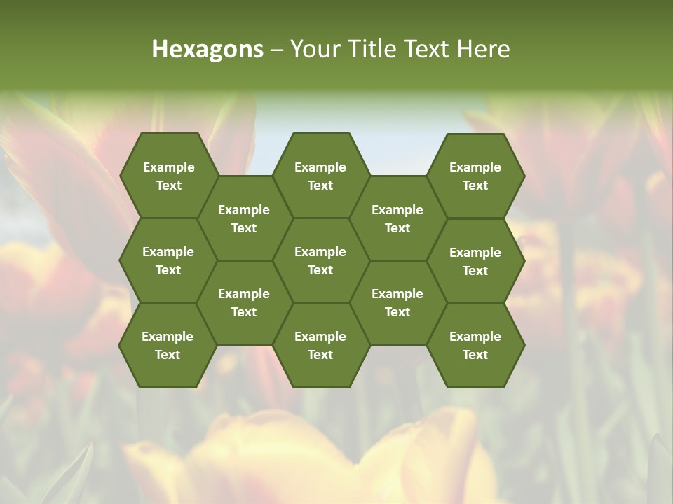 Rays Day Postcard PowerPoint Template