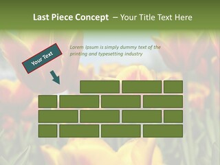 Rays Day Postcard PowerPoint Template