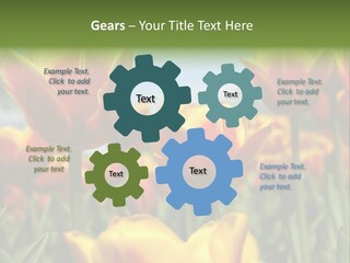 Rays Day Postcard PowerPoint Template