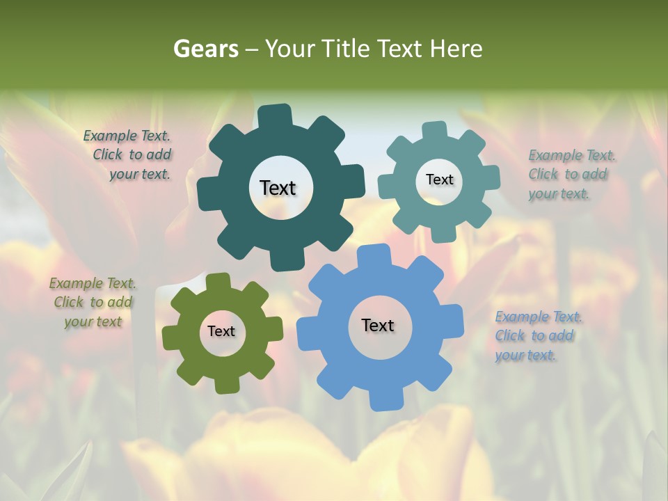 Rays Day Postcard PowerPoint Template