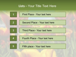 Rays Day Postcard PowerPoint Template