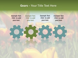 Rays Day Postcard PowerPoint Template