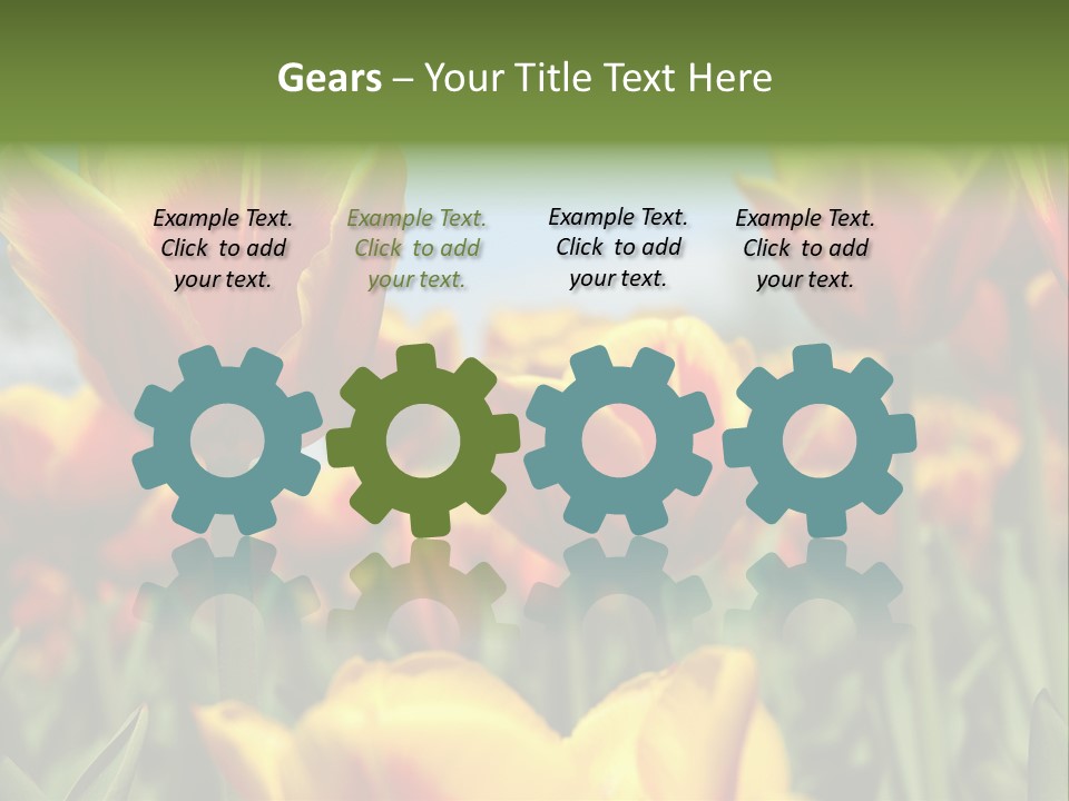 Rays Day Postcard PowerPoint Template