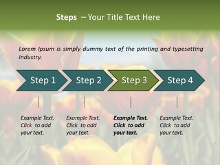 Rays Day Postcard PowerPoint Template