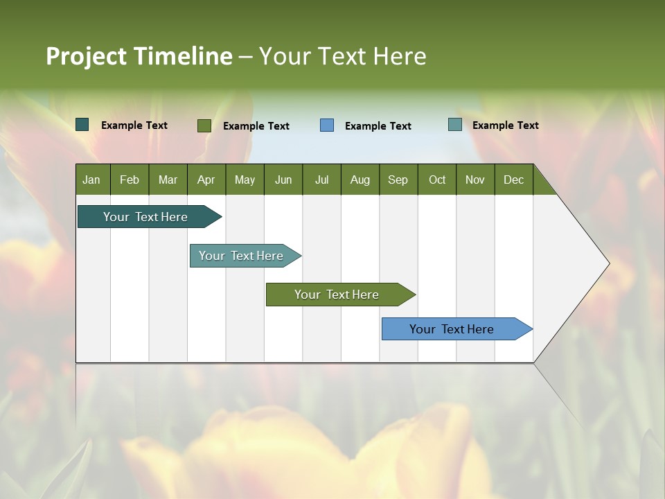 Rays Day Postcard PowerPoint Template