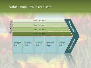 Rays Day Postcard PowerPoint Template