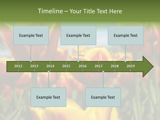 Rays Day Postcard PowerPoint Template