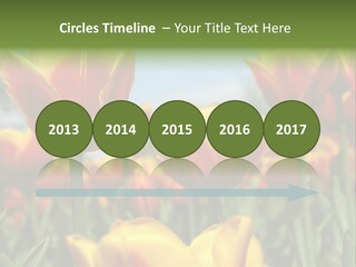 Rays Day Postcard PowerPoint Template